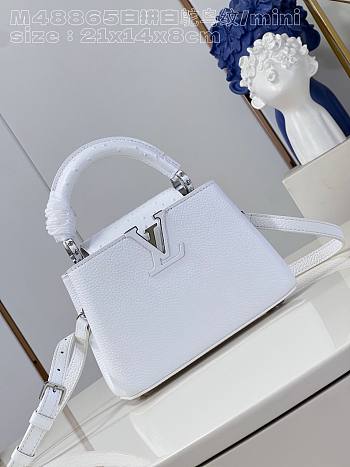 	 Louis Vuitton Capucines Mini White Taurillon-leather and ostrich-leather trim - 21 x 14 x 8 cm