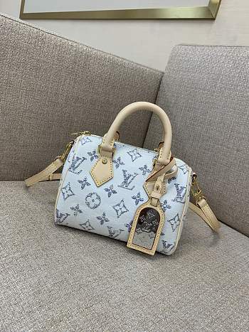 Louis Vuitton Speedy - 20*13*12cm