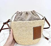 Loewe Raffia Bucket Round Bag - 26.5x21cm - 5