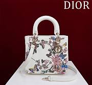 Dior Lady Embroidery Pink Flower And Butterfly - 1