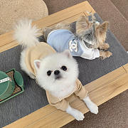 Chanep Pet Shirt  - 1