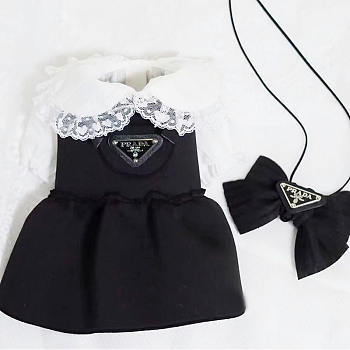 Prada Pet Set (dress and bow tie)