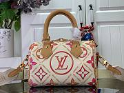 Louis Vuitton LV Speedy 20 by the pool Coral - 20cm - 4