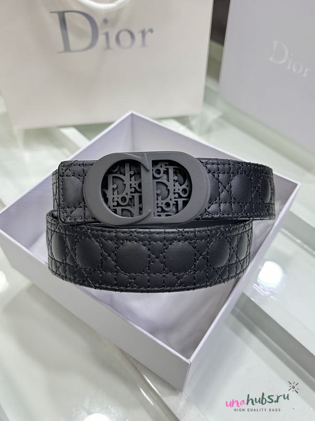 Dior 30 Montaigne Belt - 1