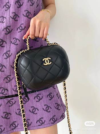 Chanel small vanity case with handle bag