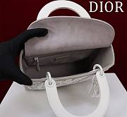 Dior Lady Grey - 24cm*20cm*11cm - 5