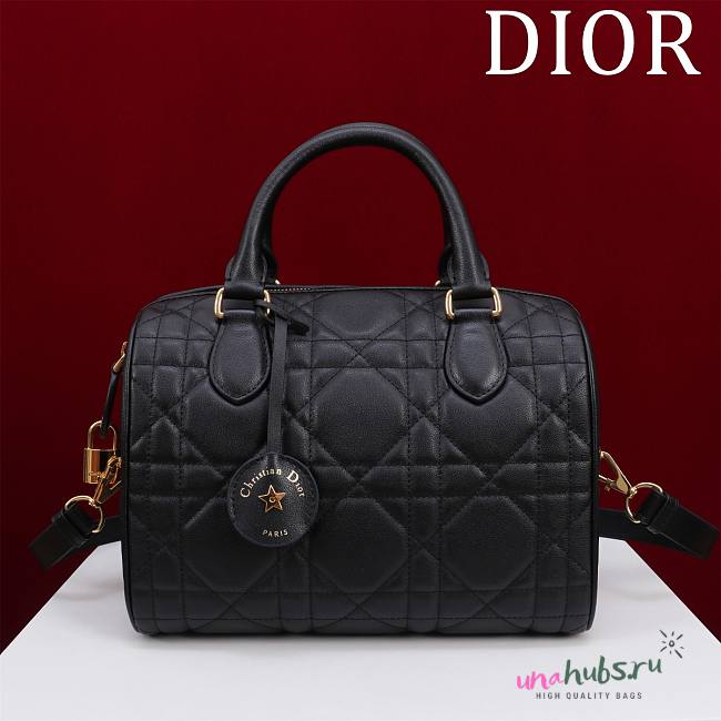 Dior Groove 25 Bag 3 colors - 1