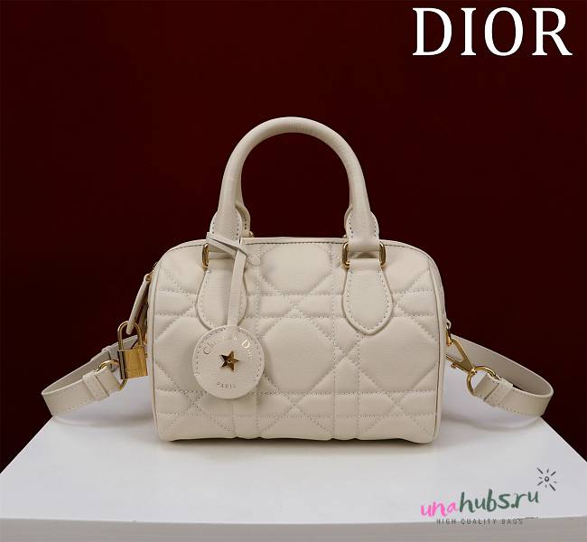 	 Dior Groove 20 Bag 3 colors - 1