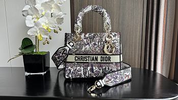 Dior Lady D-Lite Bag White Multicolor Dior 4 Saisons Hiver Embroidery 