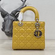 Dior Lady Medium Mustard Yellow Bag 20cm - 1