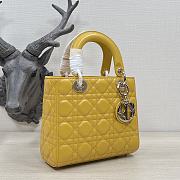 Dior Lady Medium Mustard Yellow Bag 20cm - 3