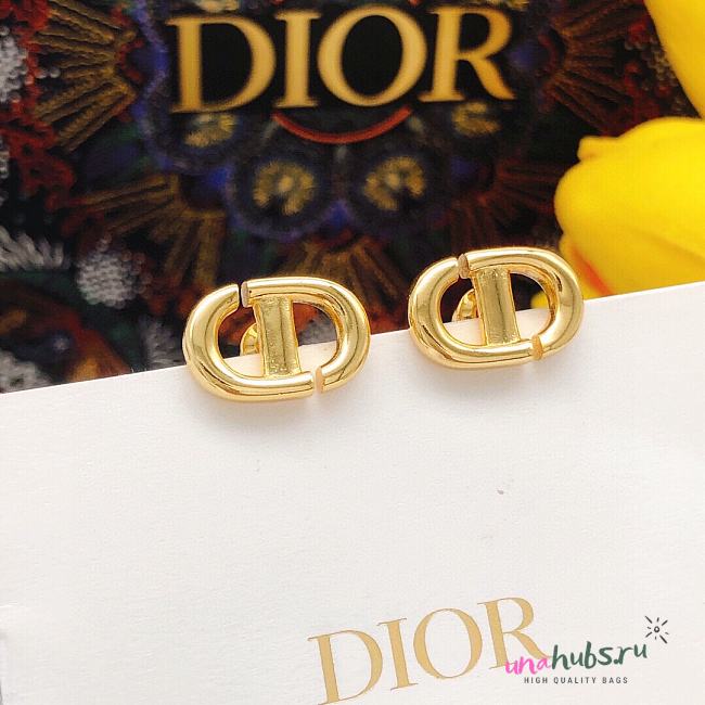 Dior CD Logo Gold Earrings - 1