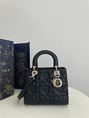 Dior Medium Lady Bag Graphic Cannage Calfskin 24*11*20cm - 1