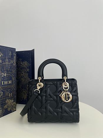 Dior Medium Lady Bag Graphic Cannage Calfskin 24*11*20cm