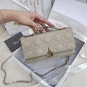 Dior Miss Dior Bag 4 colors - 21*11.5*4.5 - 3