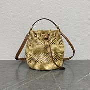 Celine Bucket Raffia Bag - 23x25x20cm - 1