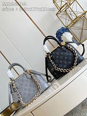 Louis Vuitton Alma BB Grey And Black Color - 1