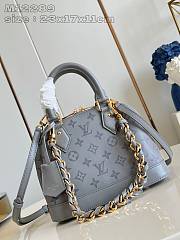 Louis Vuitton Alma BB Grey And Black Color - 3