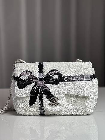 Chanel Evening party bag Flap Bag - 21cm