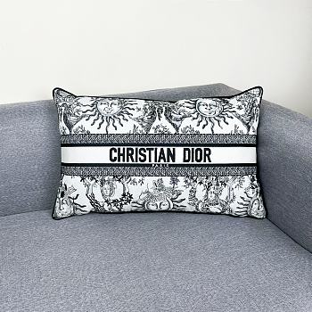 	 Dior Grey Pillow Dioriviera