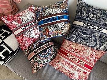 Dior Pillow Multicolor