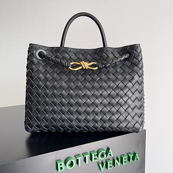 Bottega Veneta Andiamo black medium bag