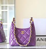 Chanel Small hobo bag, Shiny lambskin & gold-tone bag - 22.5x19.5x8.5cm - 2