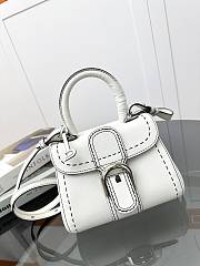 Delvaux Birllant Bag - 20/10/16cm - 4