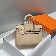 Hermes Mini Birkin Beige Toge Bag - 20cm - 5