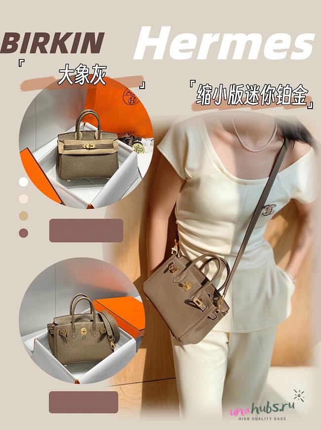 Hermes Mini Birkin Taupe Toge Bag - 20cm - 1