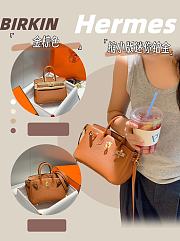 Hermes Mini Birkin Brown Toge Bag - 20cm - 1