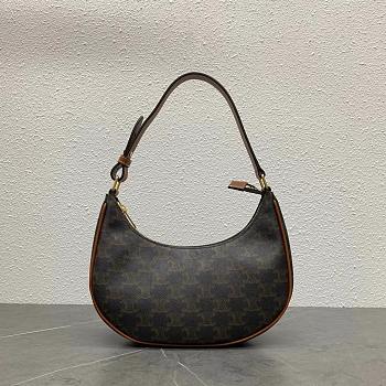 Celine Ava Bag In Triomphe Canvas and Calfskin