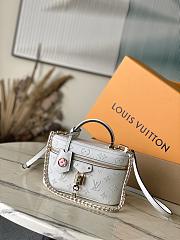 Louis Vuitton Vanity Chain Pouch Microfiber lining in 3 colors - 11.5 x 6.5 x 19 cm - 2