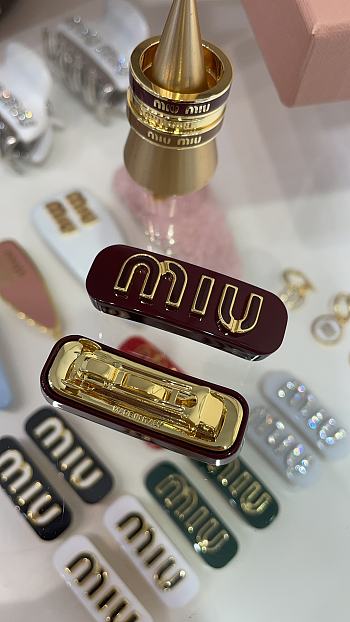 Miu Miu Plexiglas and metal hair clips