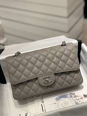 Chanel Classic Flap Bag Timeless Grey Caivar Bag 25cm - 2