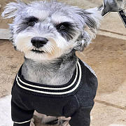 Versace Pet Sweater Black - 6