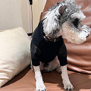 Prada Black Pet Clothes - 6