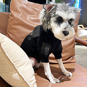 Prada Black Pet Clothes - 3