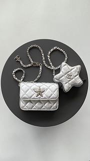 Chanel Silver Bag  - 1