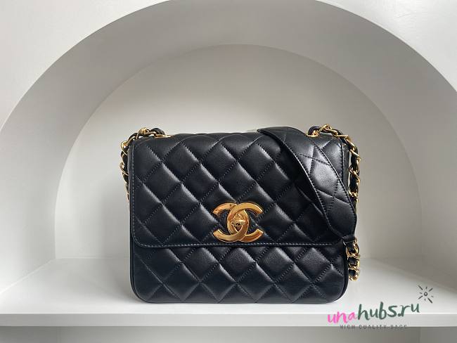 Chanel Vintage Flap Bag Lambskin Leather in 2 colors - 25x20x9cm - 1