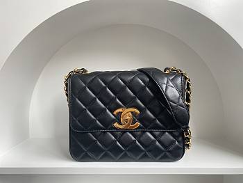 Chanel Vintage Flap Bag Lambskin Leather in 2 colors - 25x20x9cm