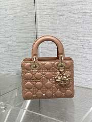 Dior Small Lady Lambskin With Butterfly Bag 20cm - 2