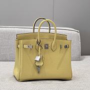 Hermes Birkin 25 Togo Leather Bag - 1