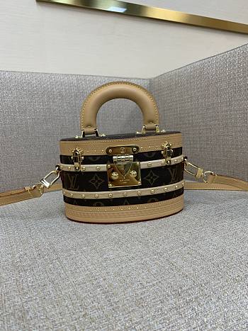 Louis Vuitton Ellis Bag 19.5 x 12 x 11.5 cm