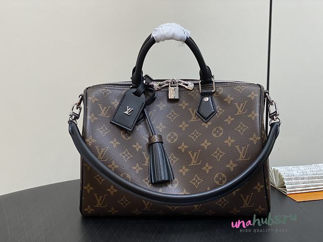 louis Vuitton Speedy Soft 30 Dark - 1