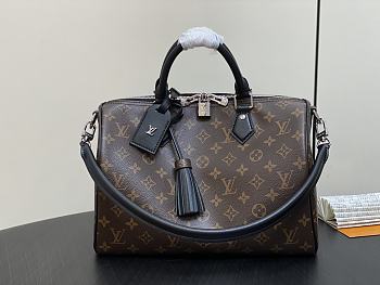 louis Vuitton Speedy Soft 30 Dark