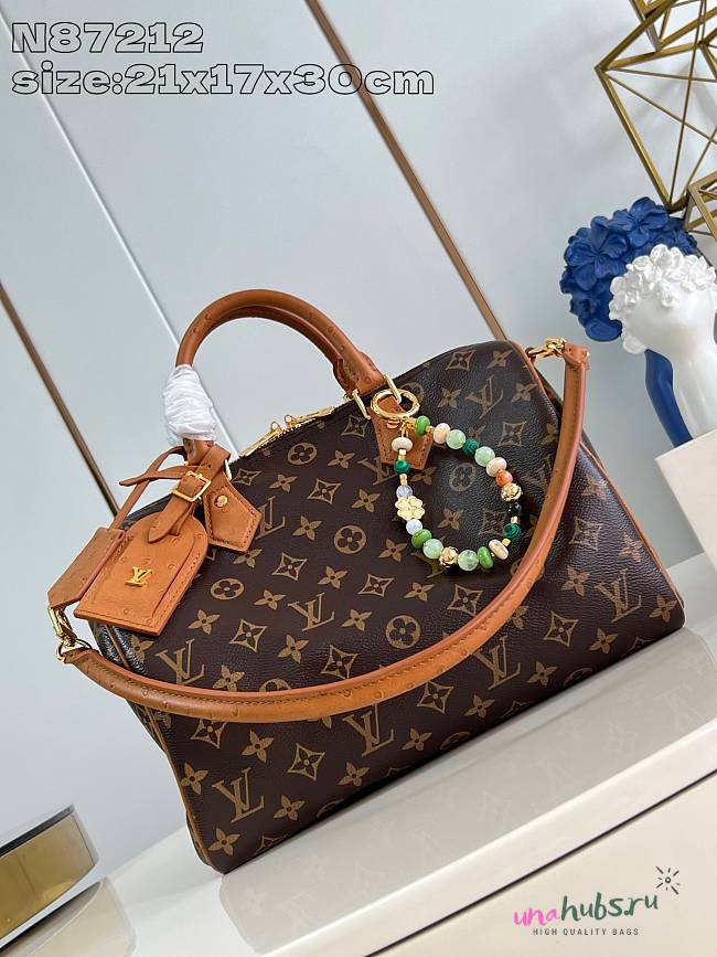 Louis Vuitton Speedy Soft 30 Boho Monogram 21 x 17 x 30cm - 1