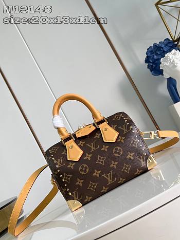 Louis Vuitton Speedy Monogram 20x13×11cm 2 colors