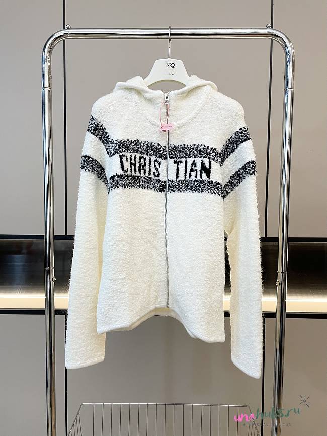 Dior Alps Hooded Sweater - 1