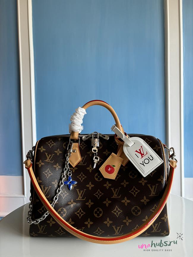 Louis Vuitton Speedy Soft 30 Crafty 30 x 21 x 17cm - 1